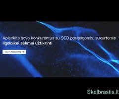 MTDigital.lt - skaitmeninio marketingo agentūros specializuotos SEO paslaugos