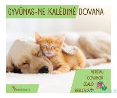 Petshop - prekės gyvūnams, kačių, šunų maistas ir kt.