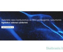 MTDigital.lt - skaitmeninio marketingo agentūros specializuotos SEO paslaugos