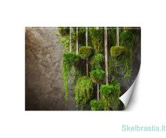 Fototapetai | Individuali Gamyba | Stilingi, Prabangūs