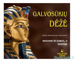 Galvosūkių žaidimas - dėžė
