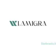 Pagalba įmonių teisės srityje