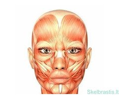 Ekoveidas.lt veido mankštos ir savimasažai - video kursai