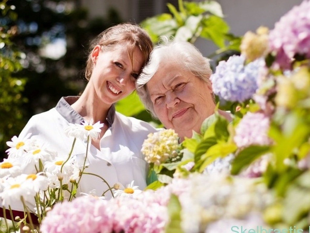 Slaugės Vokietijoje