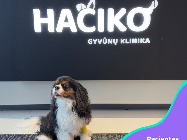 Hačiko veterinarijos klinika Vilniuje